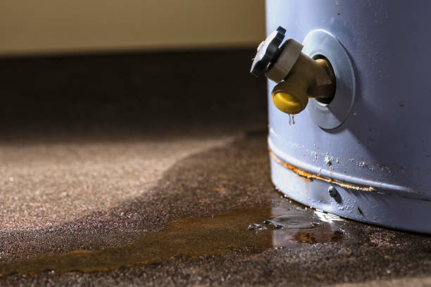 Reliable IN Water damage restoration Solutions