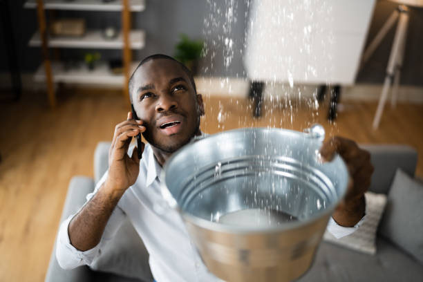 Best Water damage restoration insurance claims  in Knightstown, IN