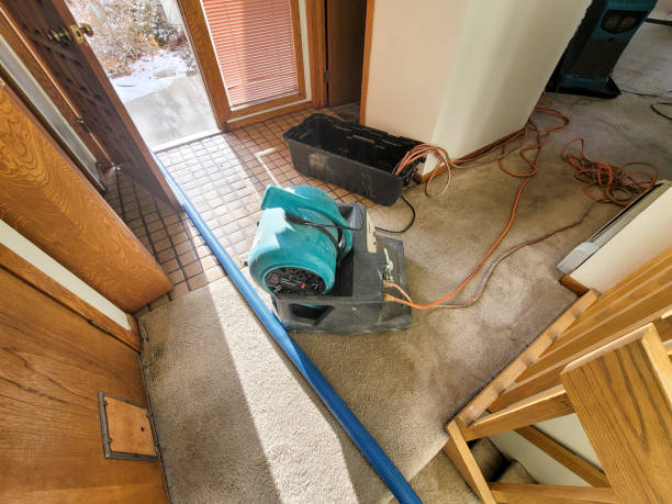 Best Carpet water damage restoration  in Knightstown, IN