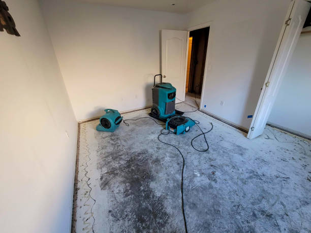 Best Emergency water damage restoration  in Knightstown, IN