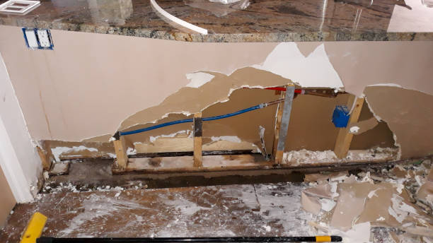 Best Water damage cleanup near me  in Knightstown, IN