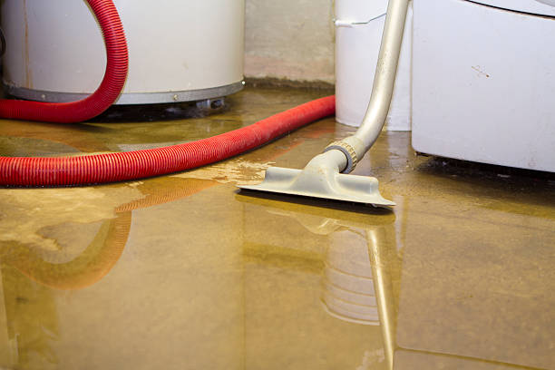Best Water damage restoration near me  in Knightstown, IN