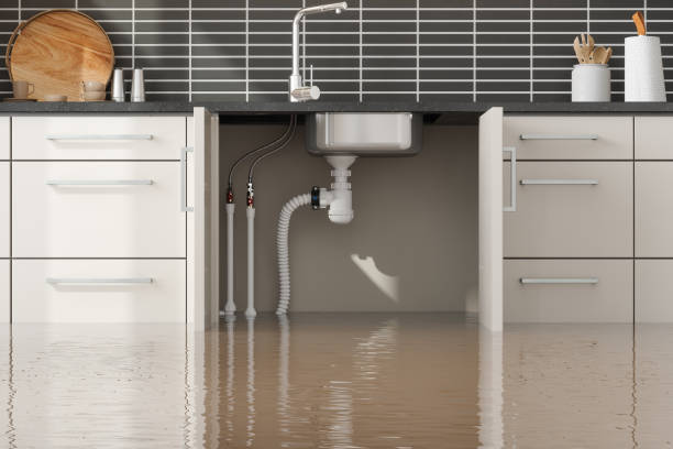 Best Emergency water damage restoration  in Knightstown, IN