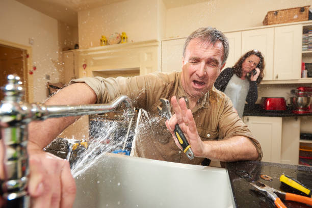Best Professional water damage repair  in Knightstown, IN